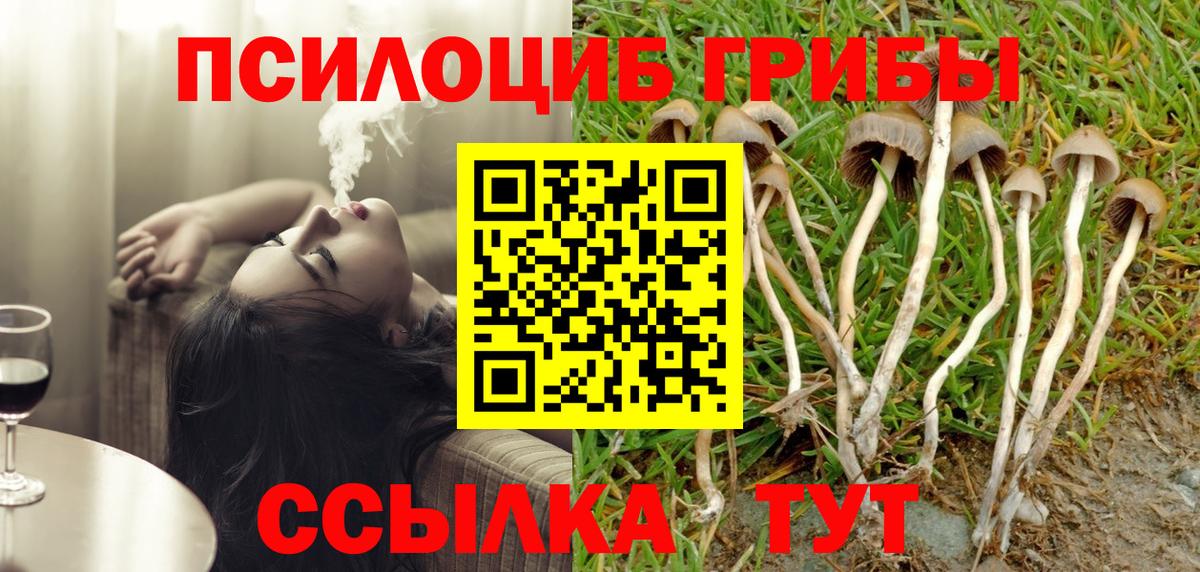 Псилоцибиновые грибы ЛСД  Вход с VPN  Малгобек 