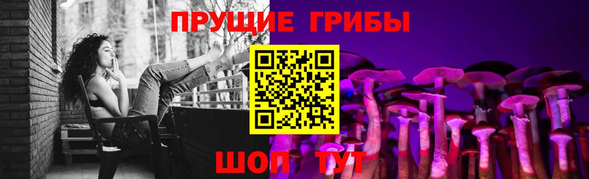 Псилоцибиновые грибы мицелий Малгобек
