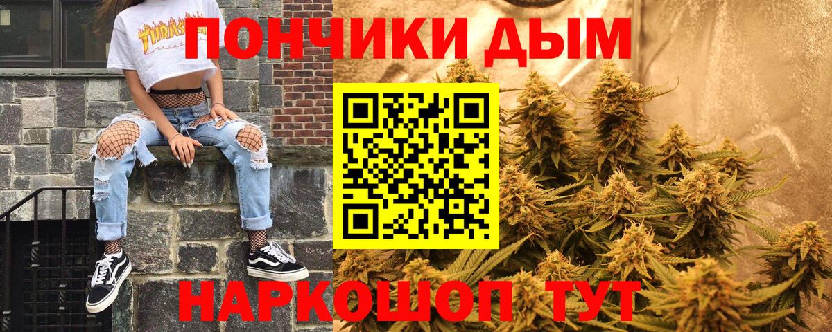 Каннабис сатива Малгобек